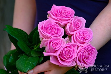 Букет из 7 розовых роз "Аква"